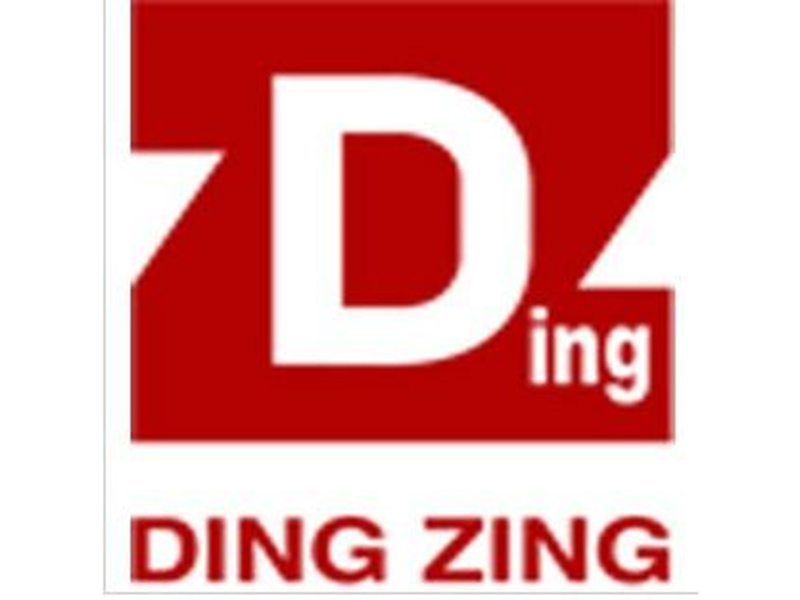 DINGZING(DZ)鼎基密封